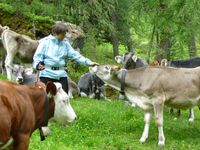 Foto Sandra met koeien Oostenrijk
